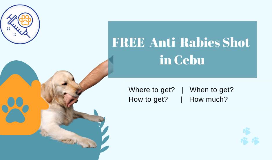 Free Anti Rabies Shot Cebu Philippines