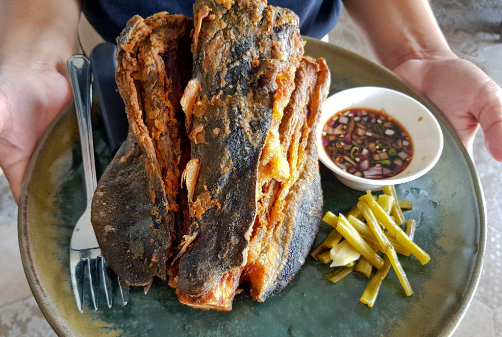 Cebu Filipino Restaurant - fried Tuna Buntot