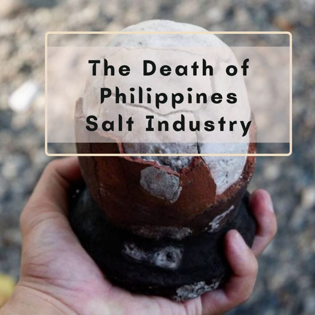 Philippines Salt Industry