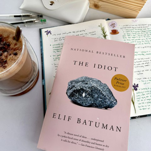 The Idiot by Elif Batuman