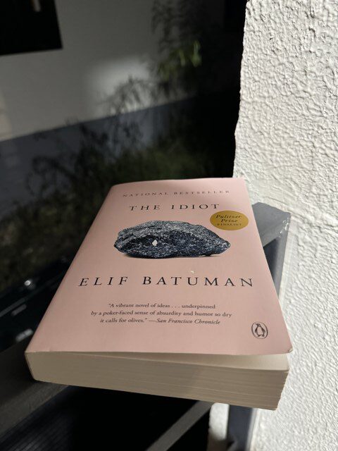 Elif Batuman's Book The Idiot