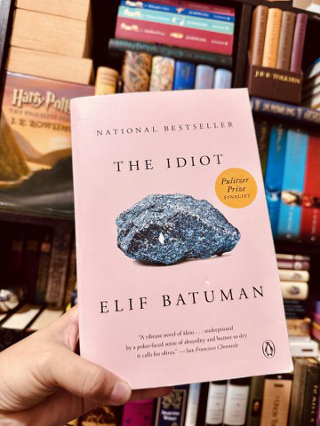 The Idiot by Elif Batuman Book review